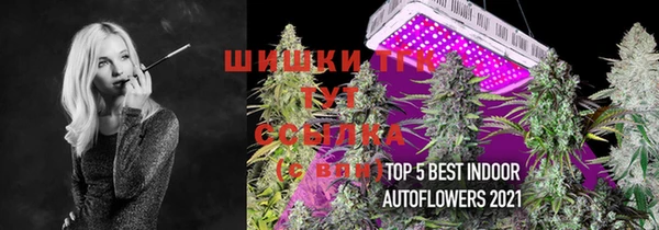 прущий лед Аркадак